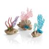 Oase biOrb set korálových vějířů a mušlí fans & shell