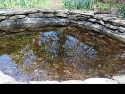 Konzultace při úpravách a rekonstrukcích nefunkčních jezírek