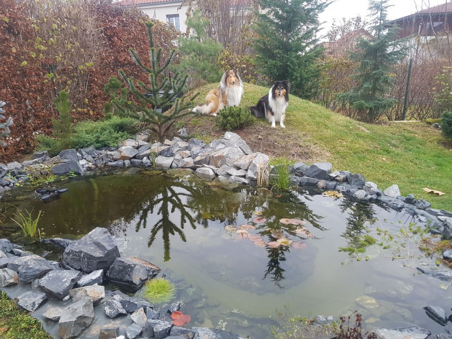 Stavba okrasného jezírka v Roztokách u Prahy
