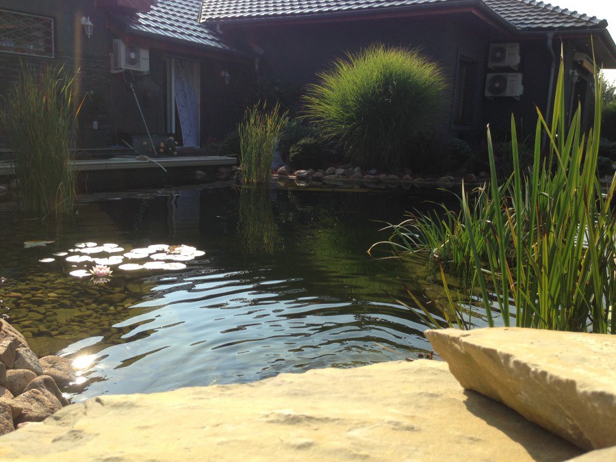 Rekonstrukce jezírka v Proboštově