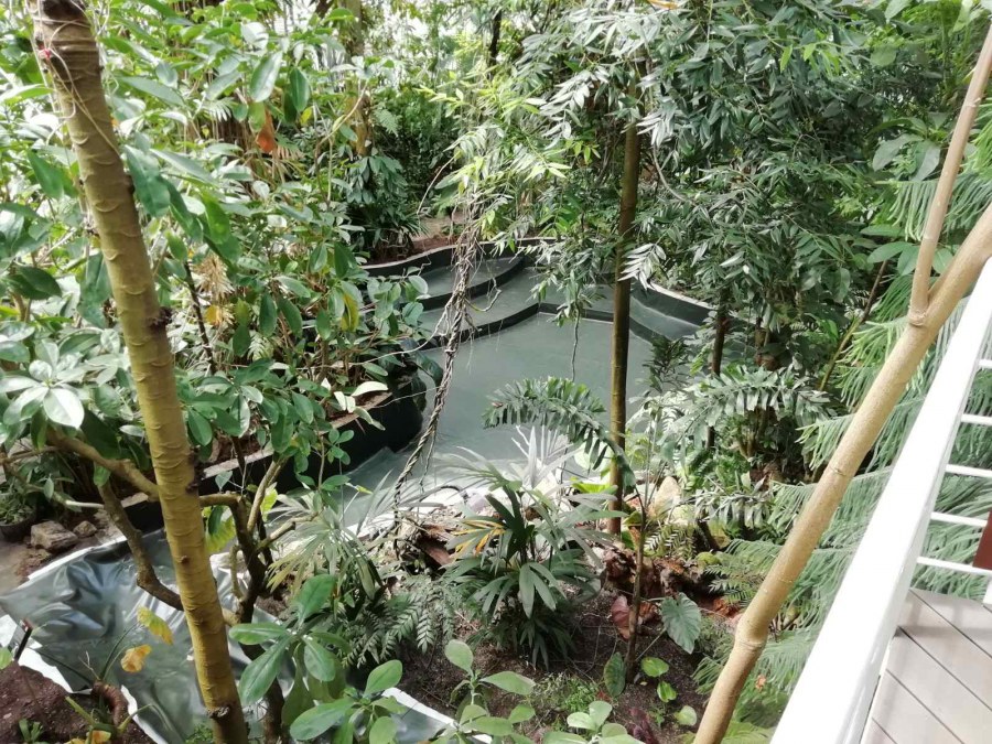 Přefóliování jezírka v Botanické zahradě