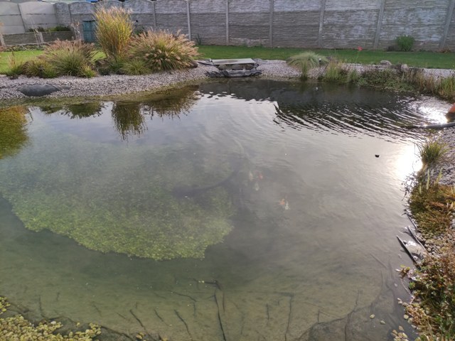 Rekonstrukce okrasného jezírka v Podbořanech