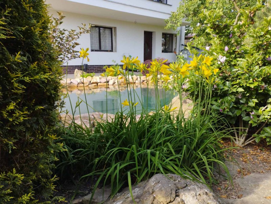 Rekonstrukce okrasného jezírka v Chomutově