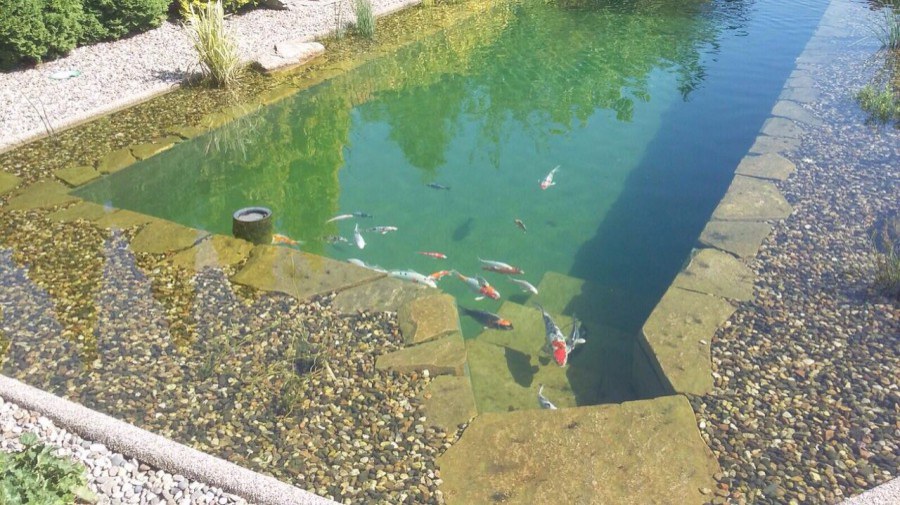 Stavba koupacího jezírka v Českých Zlatníkách