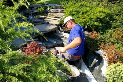 Volné termíny na fóliování