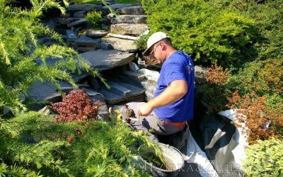 Volné termíny na fóliování