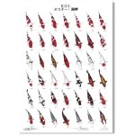 KOI kapr poster (plakát 1. díl)