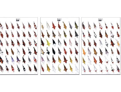 KOI kapr poster (plakát 2. díl)