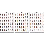 KOI kapr poster (plakát 3. díl)