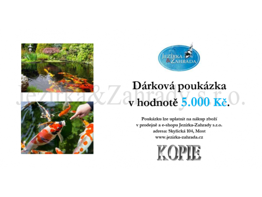 Dárková poukázka 5000 Kč