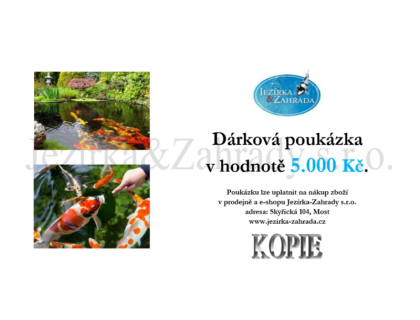 Dárková poukázka 5000 Kč