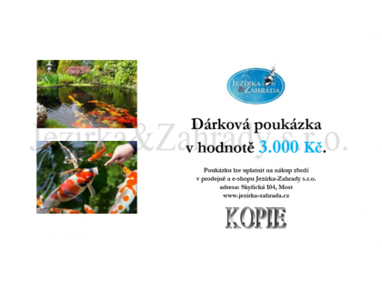 Dárková poukázka 3000 Kč