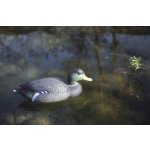 Oase plovoucí kačer dekorace (26cm)
