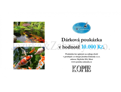 Dárková poukázka 10000 Kč