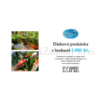 Dárková poukázka 1000 Kč