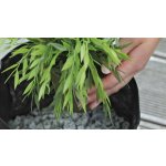 Oase košík textilní na vodní rostliny (30x30cm)