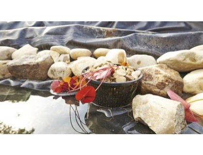 Oase košík plastový na vodní rostliny (28x28cm)