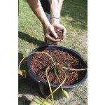 Oase košík plastový na vodní rostliny (Ø40cm)