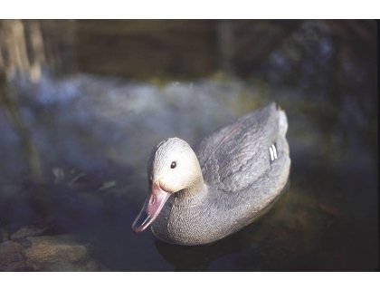 Oase plovoucí kachna dekorace (26cm)