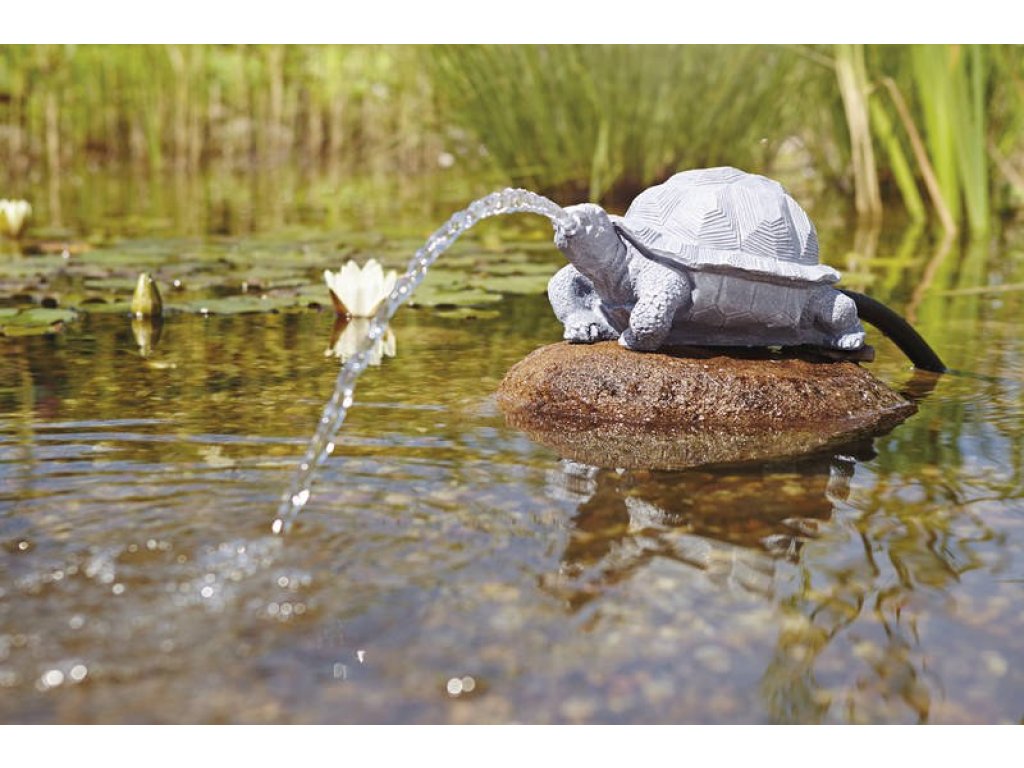Pontec chrlič vody - želva