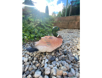 Kačer divoký (polyresin)