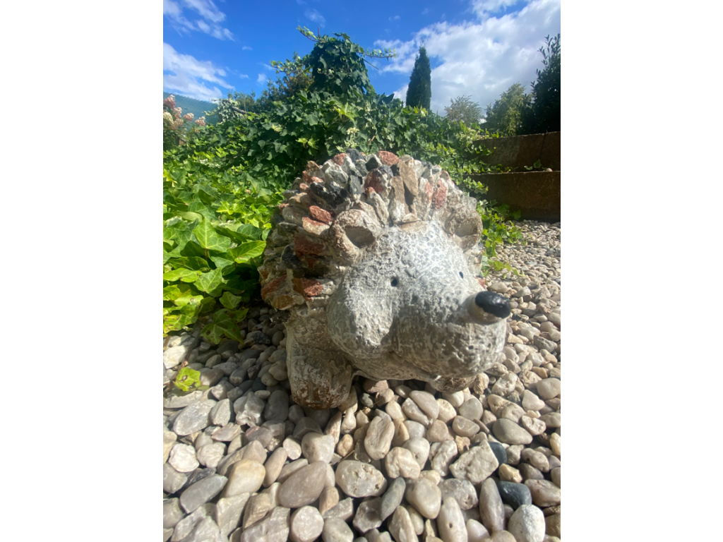 Ježek design kamínky (magnesium)