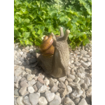 Šnek menší (plyston)