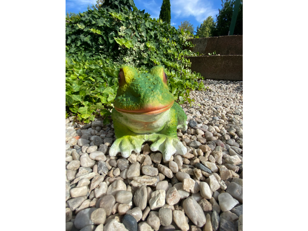 Žába střední (polyston)