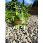 Žába střední (polyston)