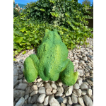 Žába střední (polyston)