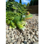 Žába střední (polyston)