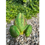 Žába veká (polyston)