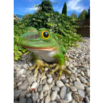 Žába veká (polyston)