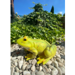 Žába zelená a žlutá střední (polyston)