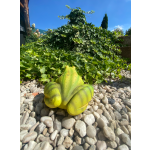 Žába zelená a žlutá střední (polyston)