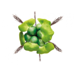 Pontec PondoHyacinth - imitace hyacintu