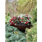 CORTENA Cortenová mísa na vodu/ohniště (60 x 14cm)