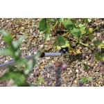 Oase FlexiCut 2 v 1 jezírkové nůžky s kleštěmi