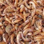 Sušení sladkovodní korýši 1 l (100g)