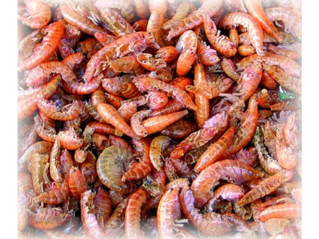 Sušení sladkovodní korýši 1 l (100g)