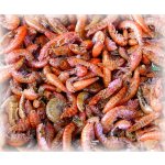 Sušení sladkovodní korýši 1 l (100g)