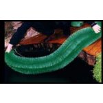 Vytírací kartáč pro ryby (130x15cm)