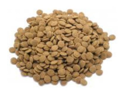 KOI colour krmivo pro KOI (10,8l - 7mm)