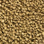 Kanpai excelentní krmivo pro KOI (10kg - 5mm)