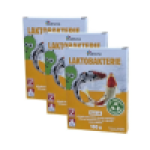 Baktoma Bacti LB - laktobakterie pro ryby do jezírka (100g na 20m2)