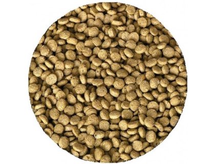 Kanpai excelentní krmivo pro KOI (3,5l - 5mm)