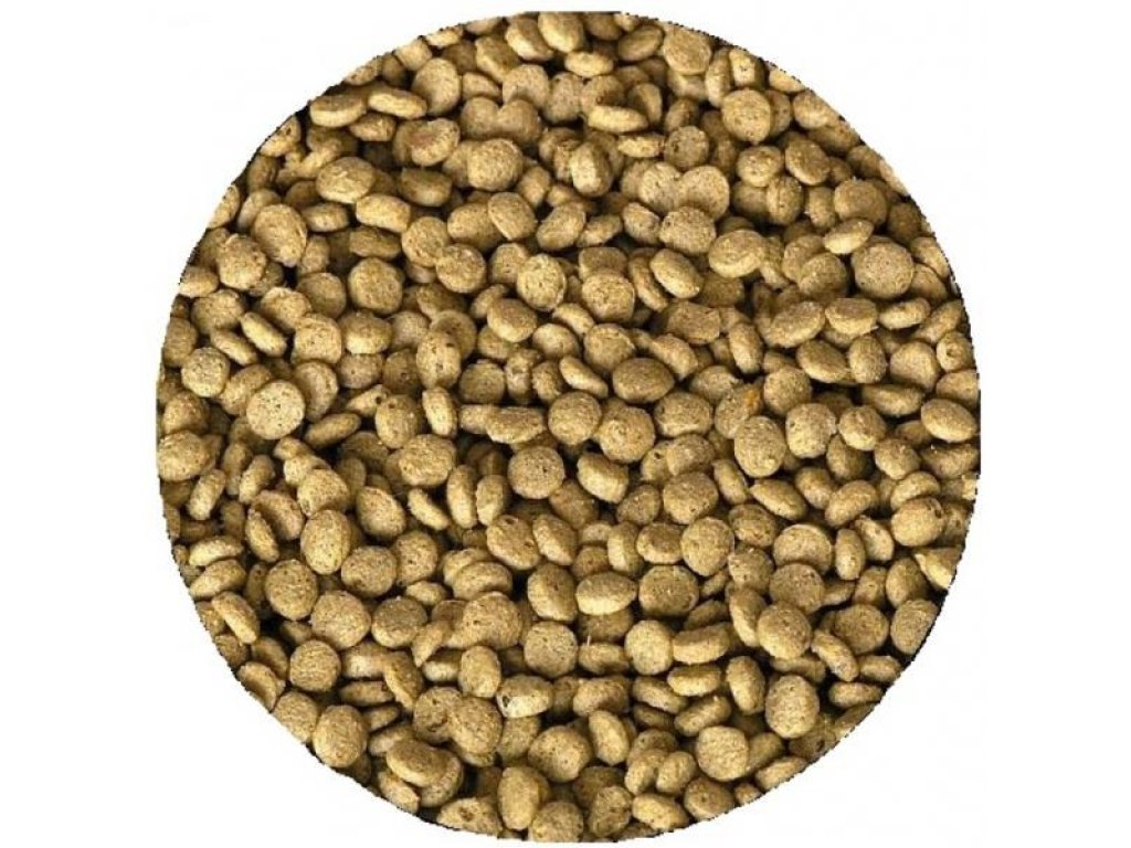 Kanpai excelentní krmivo pro KOI (1,2l-5mm)