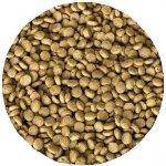 Kanpai excelentní krmivo pro KOI (1,2l-5mm)