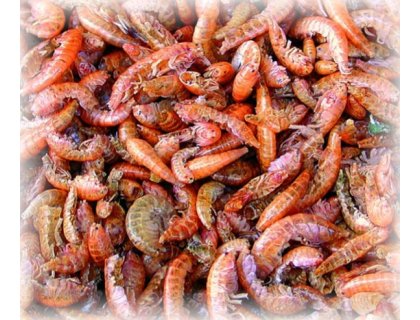 Sušení sladkovodní korýši 2,5l (300g)