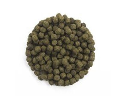 Spirulina excelentní krmivo pro KOI na barvu (10,8l - 6mm)